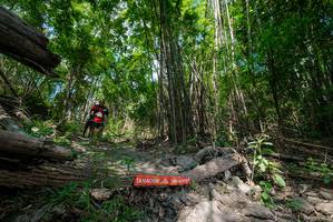 BIB: 
                            <button type="button" onclick="openModal(19394014)" class="btn btn-primary btn-sm float-right btn-popup" data-toggle="modal" data-target=".modal-high-quality">
                        <i class="fas fa-shopping-cart"></i> Add to Cart
                    </button>
                                            <button type="button" onclick="isThisMe(19394014, true)" class="btn btn-success btn-sm float-right btn-popup btn-isme hidden" data-toggle="tooltip" data-placement="bottom" title="นี่คือรูปของคุณใช่ไหม คลิกที่นี่เพื่อเอาเข้าอัลบั้ม">
                        <i class="fas fa-plus"></i> Add to album
                    </button>
                    <button type="button" onclick="isThisMe(19394014, false)" class="btn btn-warning btn-sm float-right btn-popup btn-isnotme hidden">
                        <i class="fas fa-ban"></i> Remove from album
                    </button>